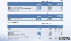 中芯国际：上半年实现净利润9.6亿美元，同比增长13.6%